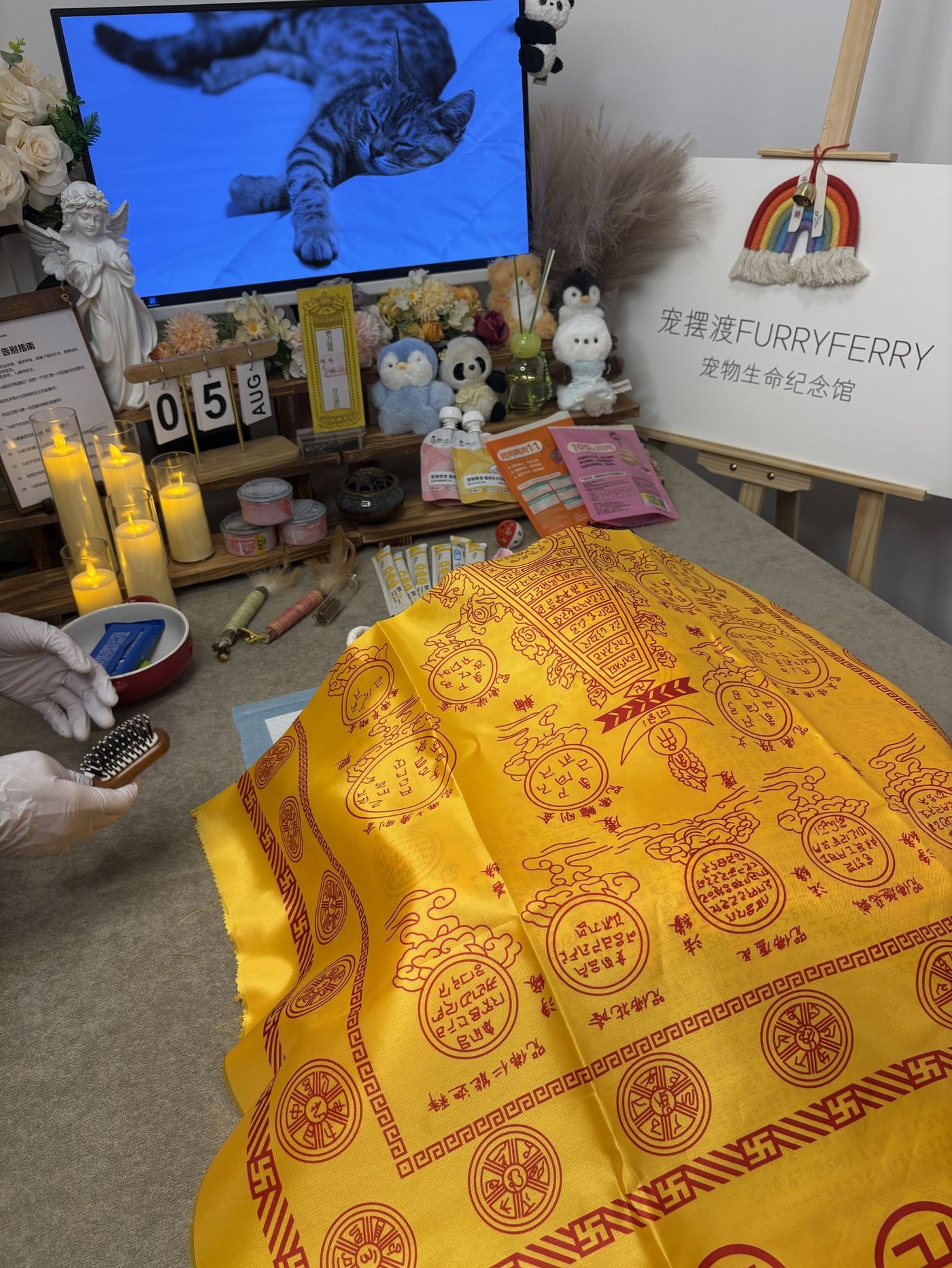 体型与费用的关系