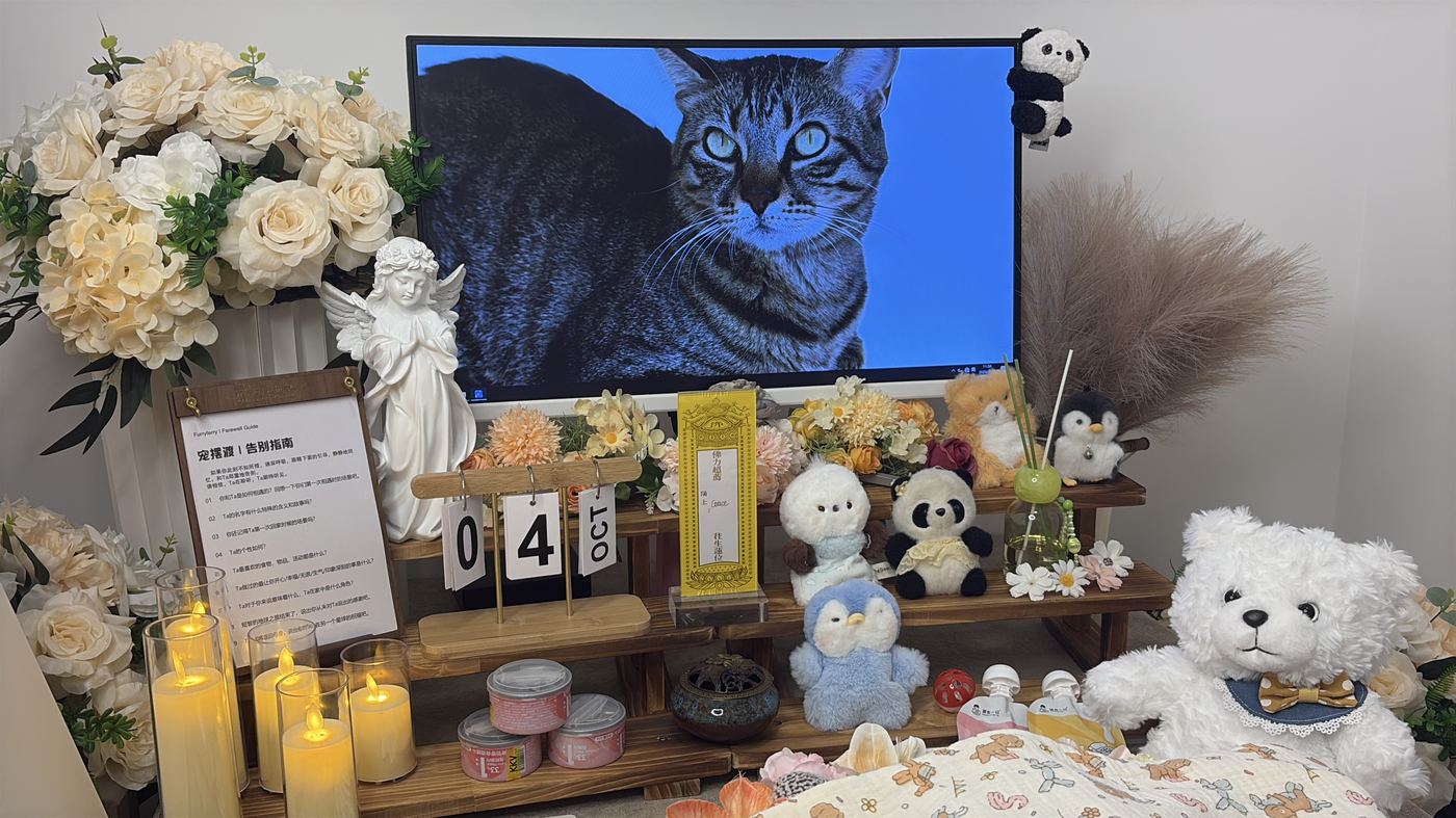 二、费用构成：逐项说明